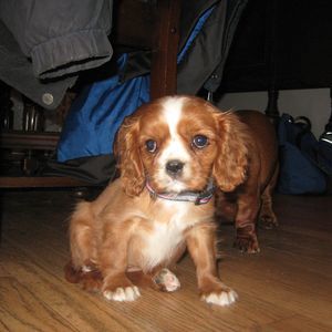 Meet your Posher, Sandra